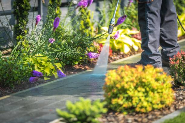 Reliable Lake Clarke Shores, FL Pressure Washing Solutions